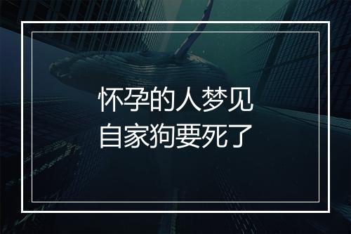 怀孕的人梦见自家狗要死了