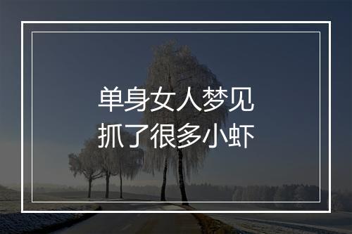 单身女人梦见抓了很多小虾