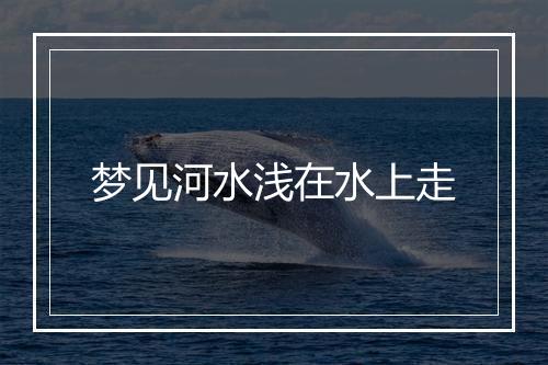 梦见河水浅在水上走