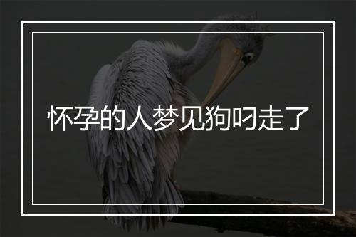 怀孕的人梦见狗叼走了