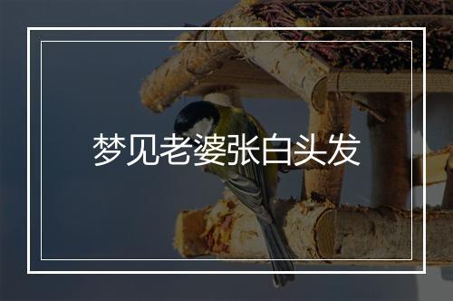 梦见老婆张白头发