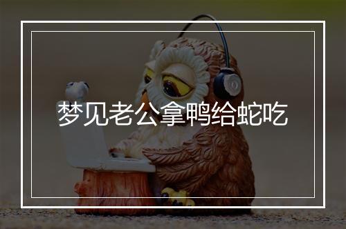 梦见老公拿鸭给蛇吃