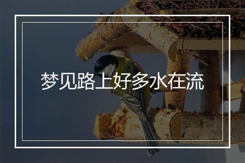 梦见路上好多水在流