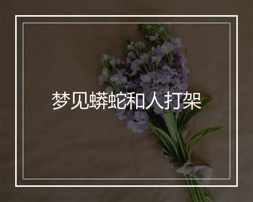 梦见蟒蛇和人打架