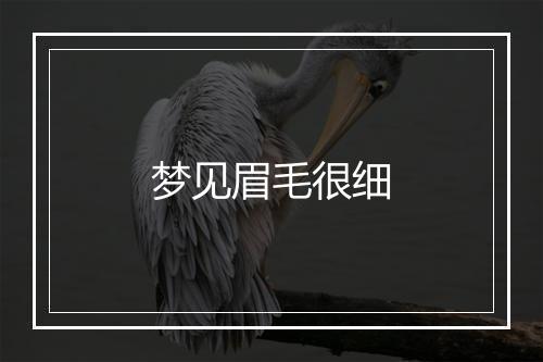 梦见眉毛很细