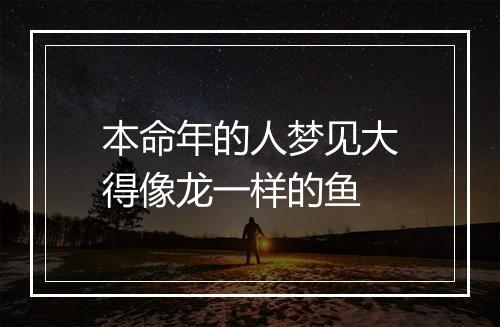 本命年的人梦见大得像龙一样的鱼