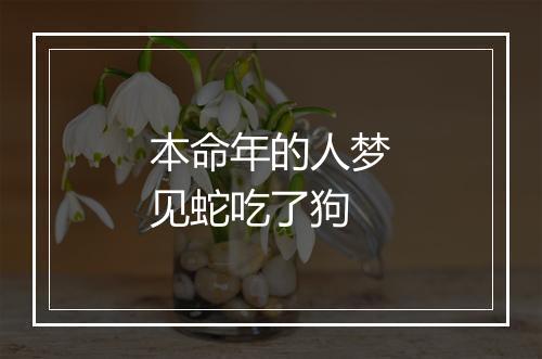 本命年的人梦见蛇吃了狗