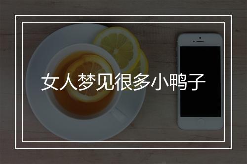 女人梦见很多小鸭子