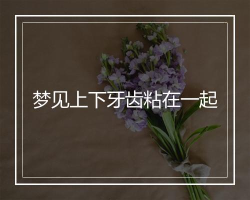 梦见上下牙齿粘在一起