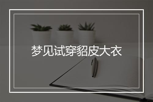 梦见试穿貂皮大衣