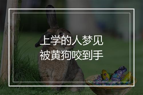 上学的人梦见被黄狗咬到手