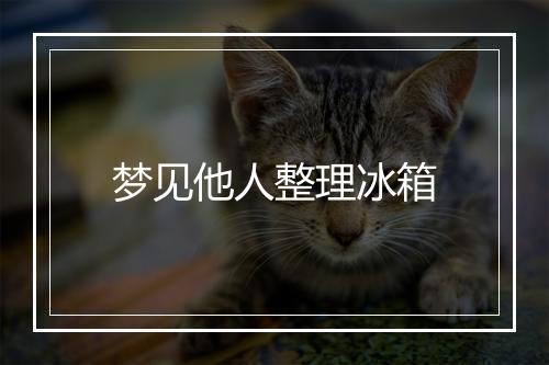 梦见他人整理冰箱