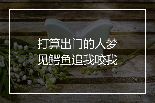 打算出门的人梦见鳄鱼追我咬我