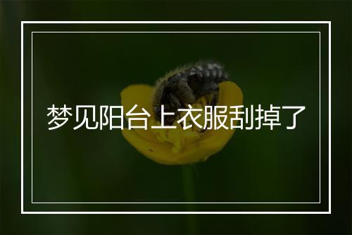 梦见阳台上衣服刮掉了