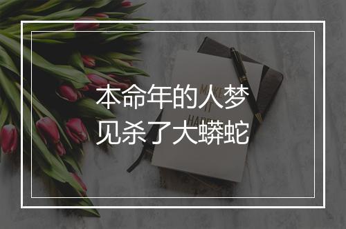 本命年的人梦见杀了大蟒蛇