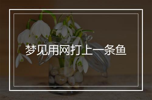 梦见用网打上一条鱼