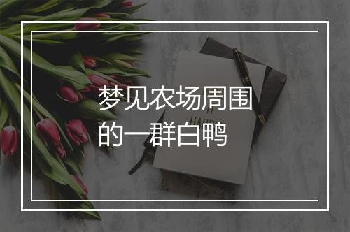 梦见农场周围的一群白鸭