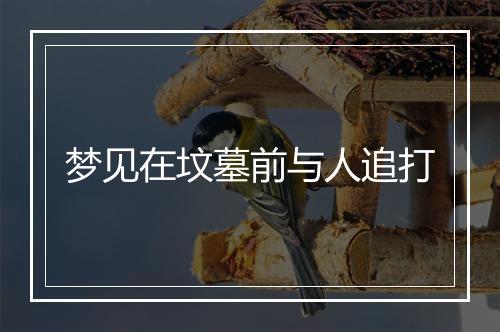 梦见在坟墓前与人追打