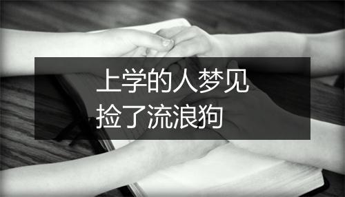 上学的人梦见捡了流浪狗