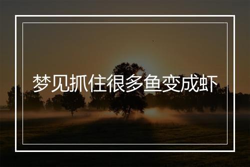 梦见抓住很多鱼变成虾