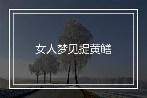 女人梦见捉黄鳝