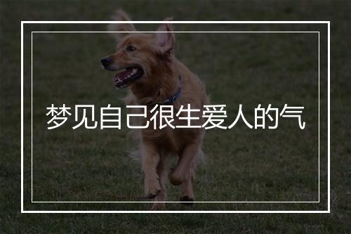 梦见自己很生爱人的气