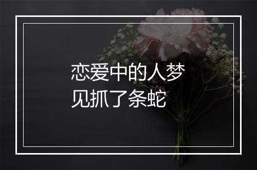 恋爱中的人梦见抓了条蛇