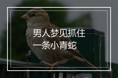 男人梦见抓住一条小青蛇