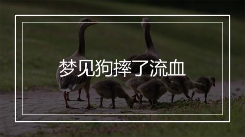 梦见狗摔了流血