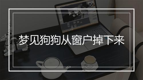 梦见狗狗从窗户掉下来