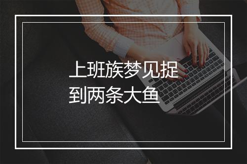 上班族梦见捉到两条大鱼