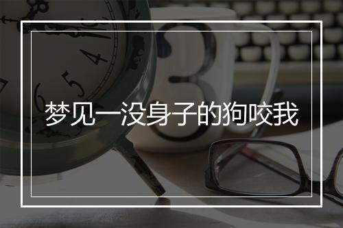 梦见一没身子的狗咬我