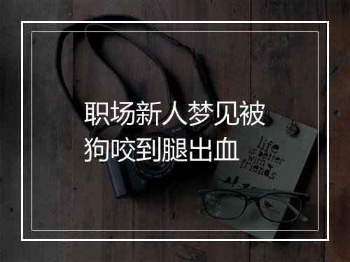 职场新人梦见被狗咬到腿出血