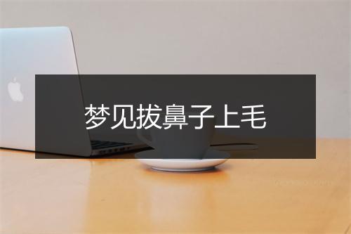 梦见拔鼻子上毛