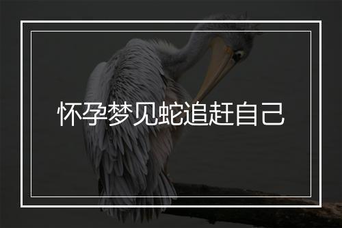 怀孕梦见蛇追赶自己