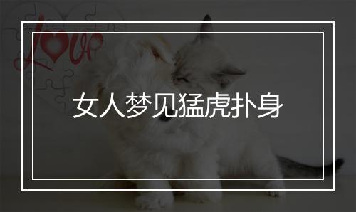 女人梦见猛虎扑身