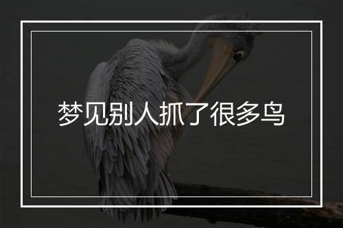 梦见别人抓了很多鸟