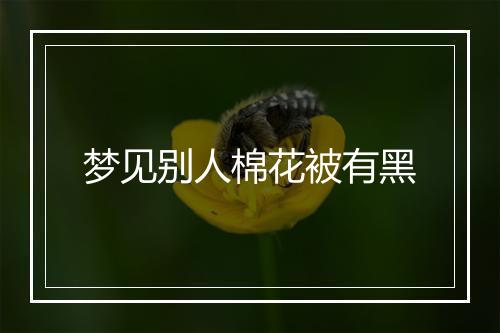 梦见别人棉花被有黑