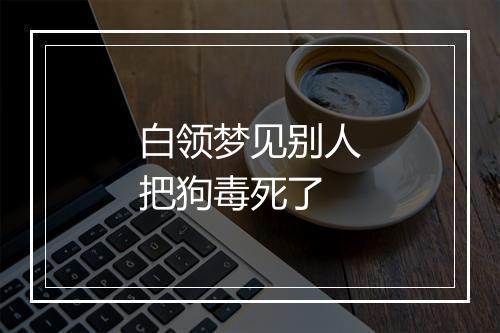 白领梦见别人把狗毒死了