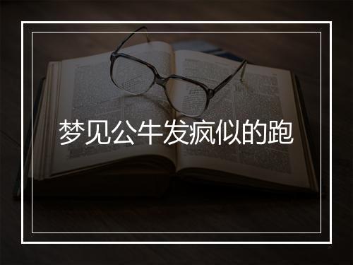 梦见公牛发疯似的跑