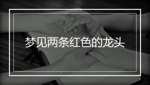 梦见两条红色的龙头