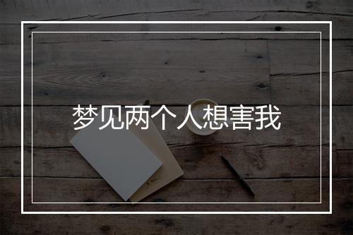 梦见两个人想害我