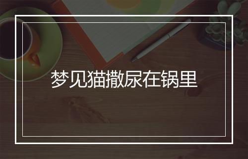 梦见猫撒尿在锅里