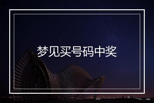 梦见买号码中奖