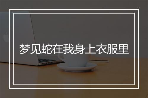 梦见蛇在我身上衣服里