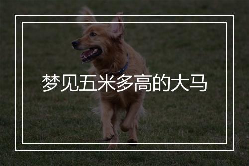 梦见五米多高的大马