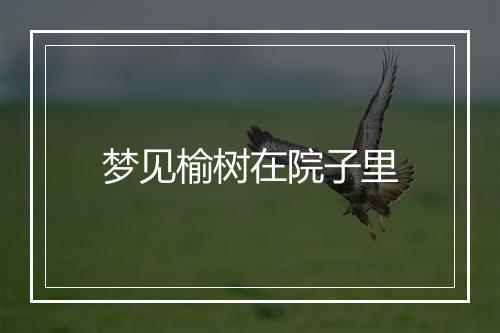 梦见榆树在院子里