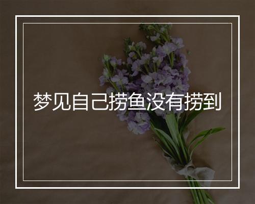 梦见自己捞鱼没有捞到