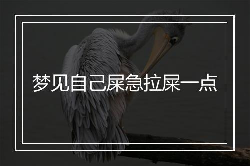 梦见自己屎急拉屎一点