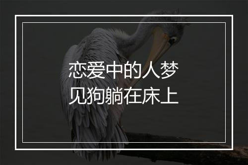 恋爱中的人梦见狗躺在床上